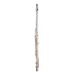 Gemeinhardt 2SP-ANG1 Student Closed Hole Flute