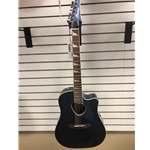 Ibanez ALT30-IBM Acoustic Guitar
