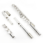 Eastman EFL210 Student Closed Hole Flute