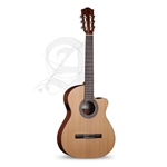Ibanez 10P-CW-US w/bag Nylon String Classical Acoustic Electric Guitar, Alhambra