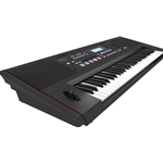 Roland E-X50 Arranger Keyoard