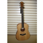 Taylor Academy 10E Acoustic
