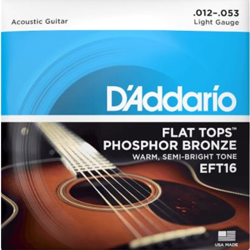 D'addario Flat Top Bronze Regular Light