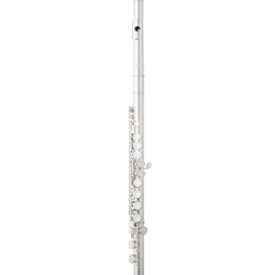 Eastman EFL210 Student Closed Hole Flute