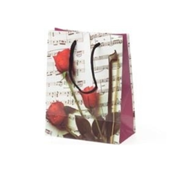 Sheet Music XL Gift Bag