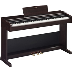 Yamaha YDP-105R Digital Piano (rosewood)