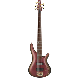 CLEARANCE Ibanez SR305EDX-RGC 5 string Bass