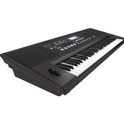Roland E-X50 Arranger Keyoard