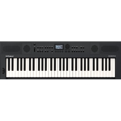 Roland GO:KEYS5-GT 61-Key Music Creation Keyboard - Granite Black
