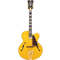 D'Angelico PREMIER EXL-1 w/bag Premier EXL-1 Semi-Hollow Single Cutaway Electric Guitar - Gloss Honey Blonde